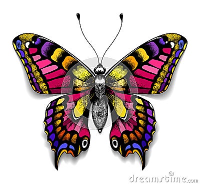 Beautiful tattoo for your chest.Colorful Machaon butterfly.Tropical realistic butterfly with shadow.Symbol of femininity Vector Illustration