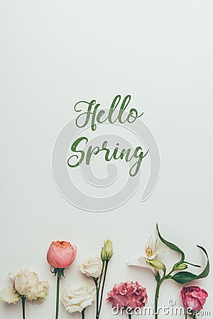 Beautiful tender blooming flowers and inscription hello spring Stock Photo