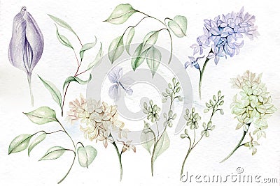 Beautiful tender watercolor set with different flowers and leaves. Illustration Stock Photo