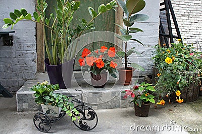 Beautiful terrace with a lot flowers and bicycle Stock Photo