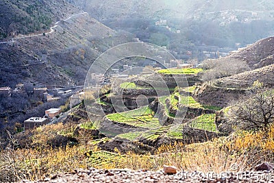 Beautiful terraced fields in high Atlas mountains in Morocco Stock Photo
