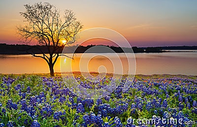 Beautiful Texas spring sunset over a lake Stock Photo