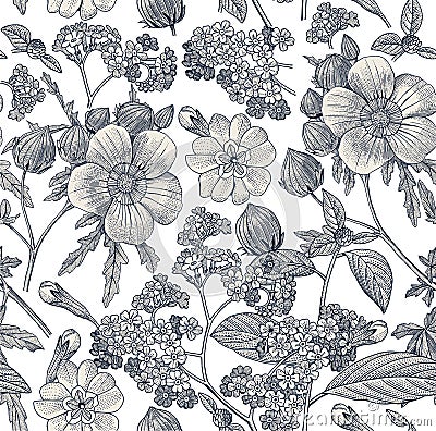 Seamless pattern. Realistic isolated flowers. Vintage background heliotrope hibiscus primavera hibisc Drawing engraving Vector Vector Illustration