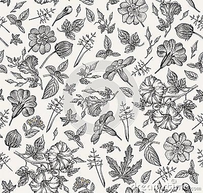 Seamless pattern. Realistic isolated flowers. Vintage background Petunia primavera hibisc Drawing engraving Vector Vector Illustration