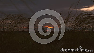 Beautiful timelapse of the setting sun over the field. far rain clouds and colorful sunset clouds in a blue sky over the Stock Photo