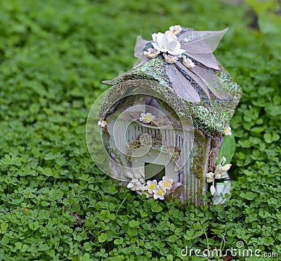 Beautiful tiny fairy cottage in clover field Stock Photo