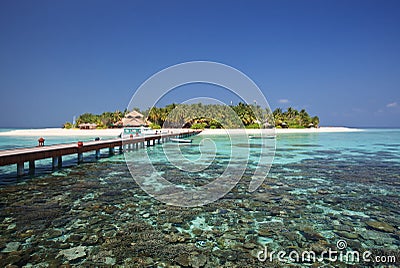 Beautiful tiny island. Indian ocean. Maldives. Stock Photo