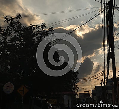 beautiful to see the sunset on the dense urban street from under the trees Stock Photo