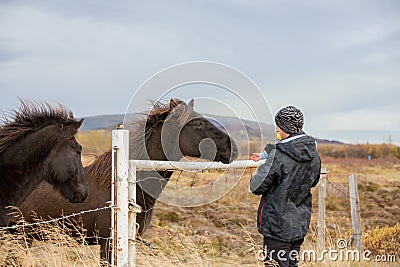 Beautiful toddler child with dad, fondle horses in the nature, early in the morning on a windy autumn day Stock Photo