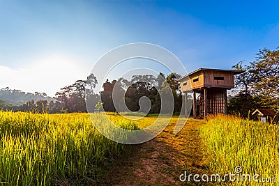 The beautiful tower in nature Stock Photo