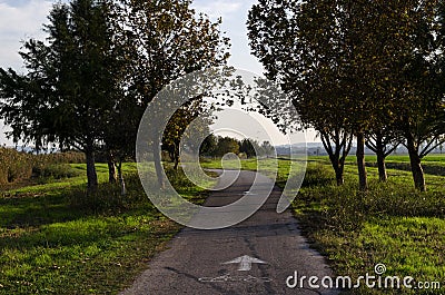 Beautiful trail during autumn Stock Photo