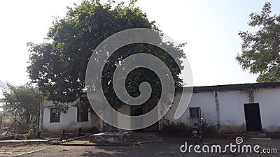 A beautiful tree infront of a house Editorial Stock Photo