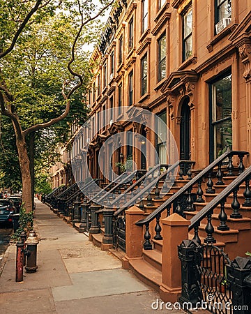 Beautiful tree-lined street with brownstones, Cobble Hill, Brooklyn, New York Editorial Stock Photo