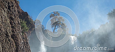 Beautiful tree on skyline above foaming waterfalls Stock Photo