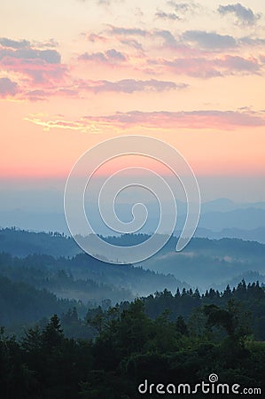 Misty Forest at Sunrise Stock Photo