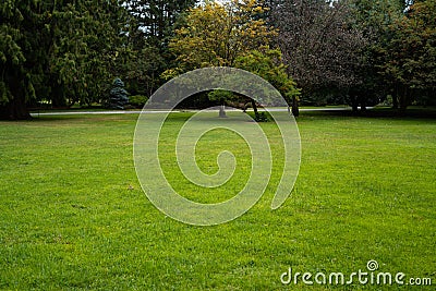 Beautiful trees and green grass in the garden Stock Photo