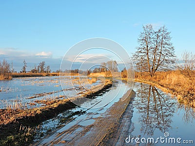 Beautiful trees and highroad in flood time Stock Photo