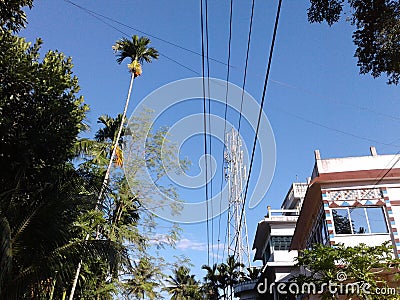 Beautiful Tripura Stock Photo