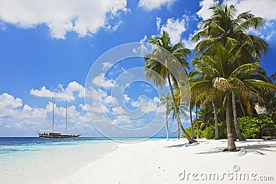 Beautiful tropical beach Stock Photo