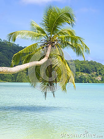 Beautiful tropical beach in Seychelles Stock Photo