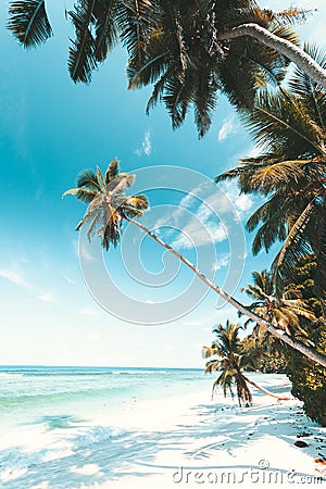 Tropical Beach in Seychelles Stock Photo