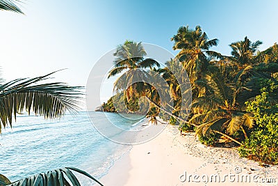 Tropical Beach in Seychelles Stock Photo