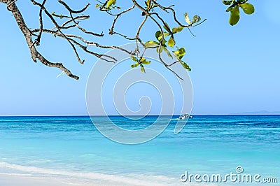 Beautiful tropical beach, white sand and blue sky background. Stock Photo