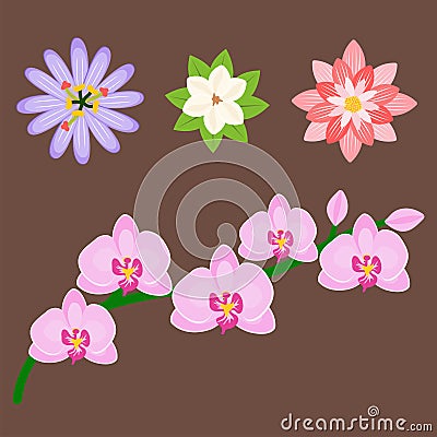 Beautiful tropical flower set design summer plants colorful decoration nature design floral drawing leaf blossom vector Vector Illustration