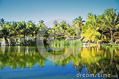 Beautiful tropical garden with lake in carribean resort, Dominic Stock Photo