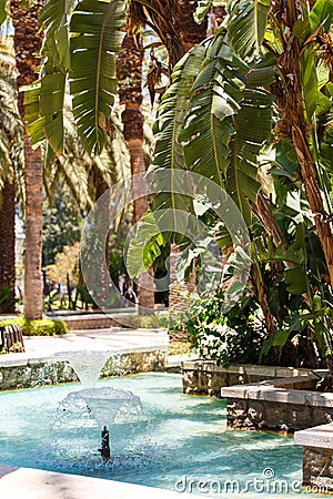 Beautiful tropical garden with a pool with a fountain Stock Photo