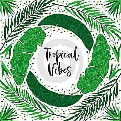 Beautiful tropical green palm leaves botanicals foliage background Vector Illustration