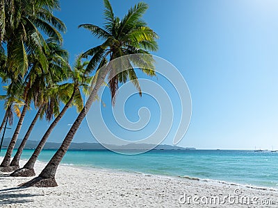 Beautiful tropical island beach with palm tree and tranquil blue water Stock Photo