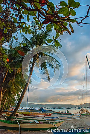 Beautiful tropical landscape with palm trees in the evenin. Boracay, Philippines Editorial Stock Photo