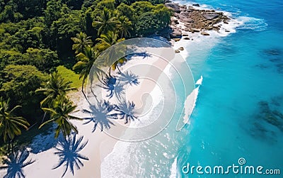 Beautiful tropical palm beach with palm trees, white sand and turquoise ocean. Perfect paradise landscape background Stock Photo