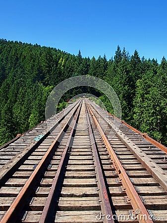 Wooden railroad tracks bridge on a goinig straight into the spruce forest - Train Stock Photo