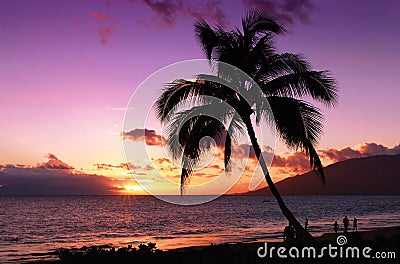 Beautiful tropical sunset Stock Photo