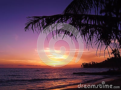 Beautiful tropical sunset Stock Photo