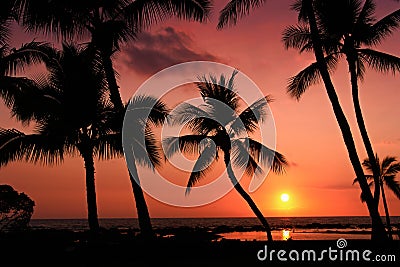 Beautiful tropical sunset Stock Photo