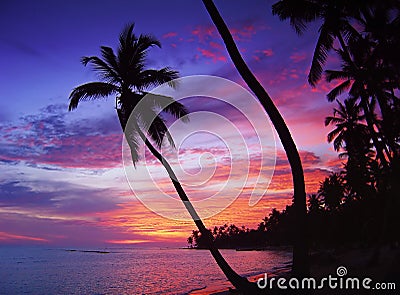 Beautiful tropical sunset Stock Photo