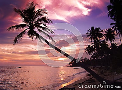 Beautiful tropical sunset Stock Photo