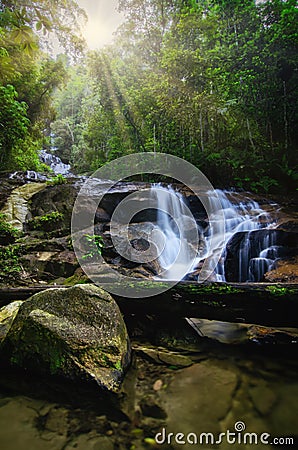 Beautiful tropical waterfall in lush surrounded by green forest.wet rock and moss. Stock Photo