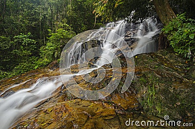 Beautiful tropical waterfall in lush surrounded by green forest.wet rock and moss. Stock Photo