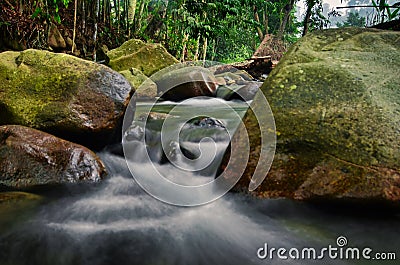 Beautiful tropical waterfall in lush surrounded by green forest.wet rock and moss. Stock Photo