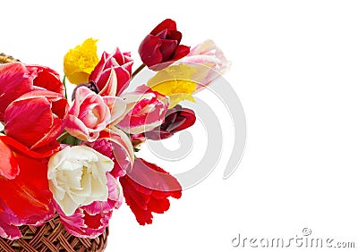 Beautiful tulips in a basket Stock Photo