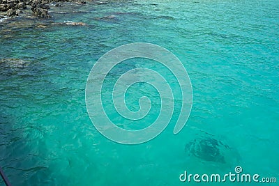 Beautiful Turquoise green sea water. Idyllic seascape background. Stock Photo