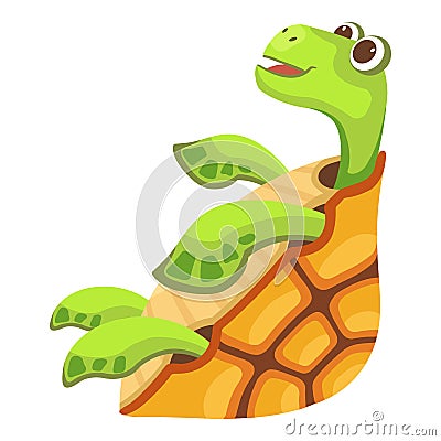 Beautiful turtle icon, cartoon style Vector Illustration
