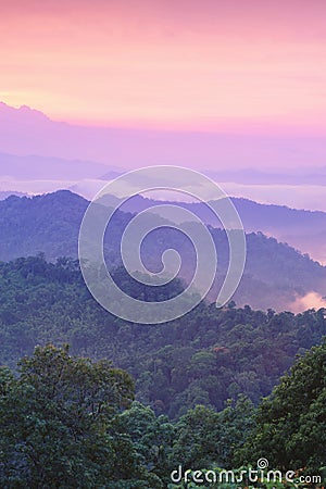 Beautiful twilight landscape in rain forest. Stock Photo