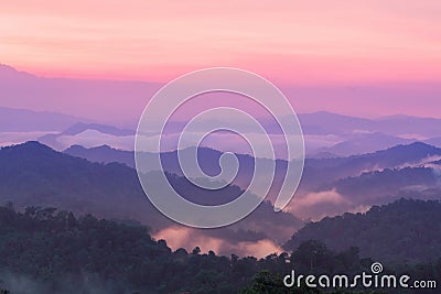 Beautiful twilight landscape in rain forest. Stock Photo