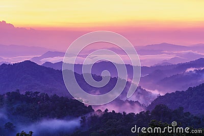 Beautiful twilight landscape in rain forest. Stock Photo