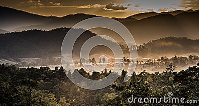 Beautiful twilight landscape in rain forest Stock Photo